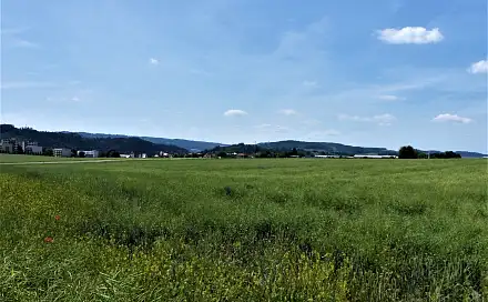 Prodej pole 7 225 m², Letovice, okres Blansko