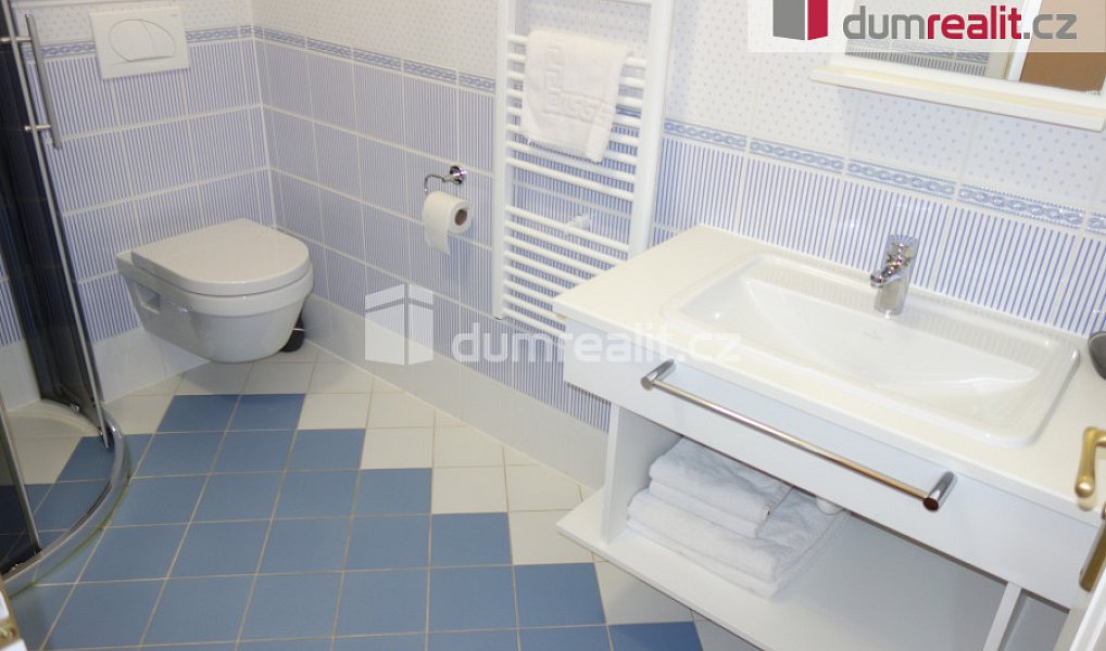 Pronájem bytu 1+kk 26 m², Valtice – náhled fotky 4