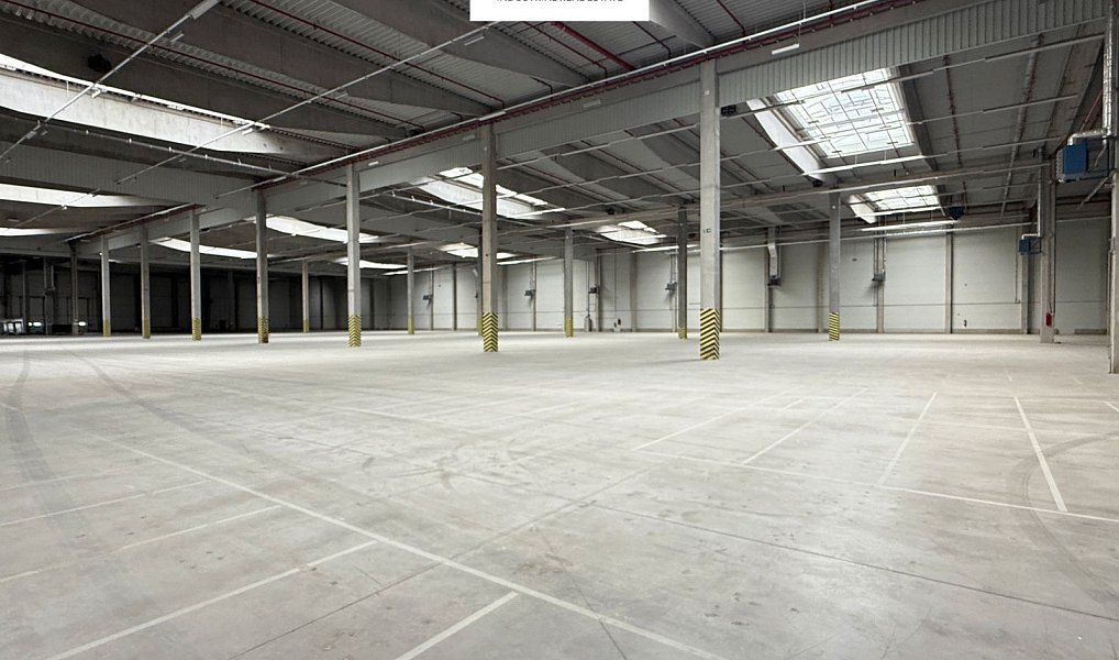 Pronájem výrobních prostor 12 208 m², Hrušky – náhled fotky 8