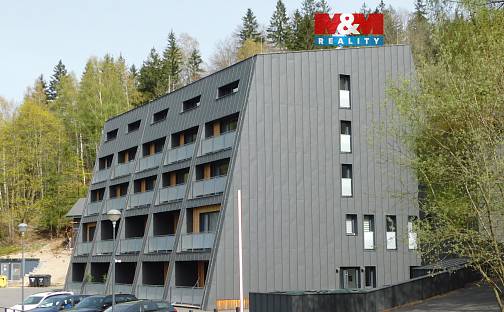 Pronájem bytu 1+kk 25 m², Janov nad Nisou, okres Jablonec nad Nisou