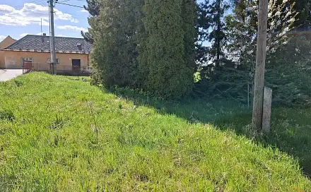 Prodej stavebního pozemku 308 m², Blansko - Těchov