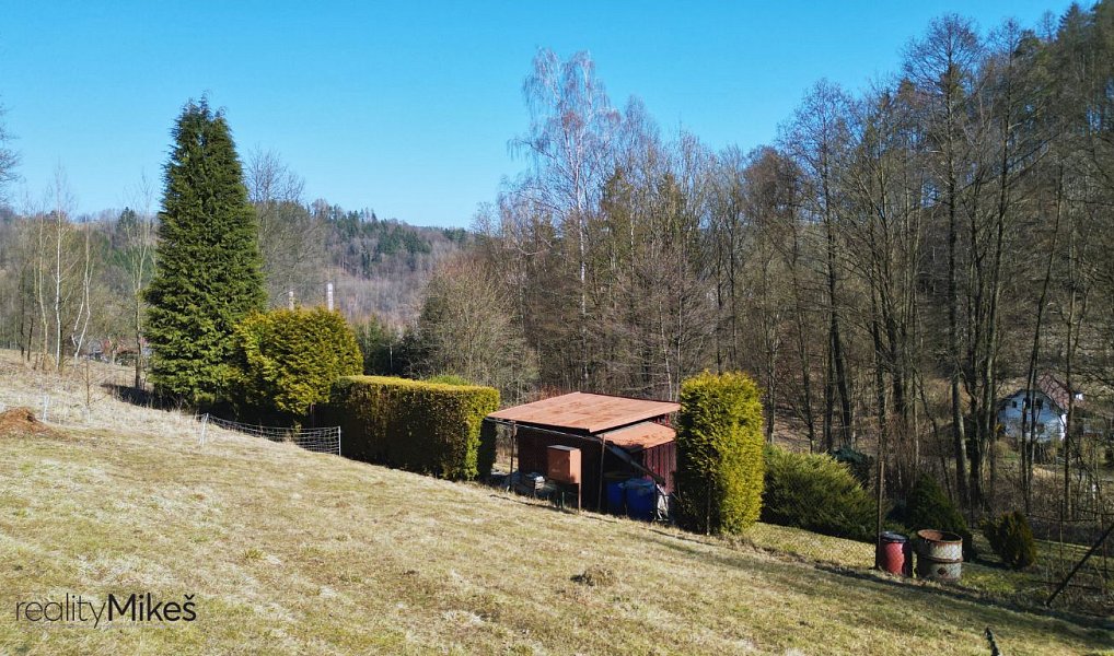 Prodej louky 4 168 m², Železný Brod – náhled fotky 6