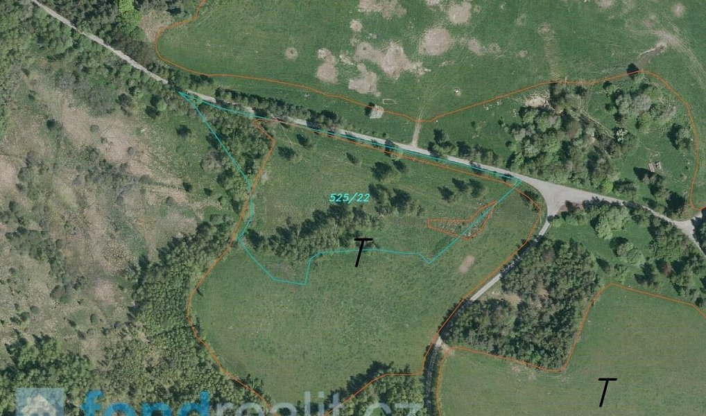 Prodej pozemku 87 889 m², Loučovice – náhled fotky 3