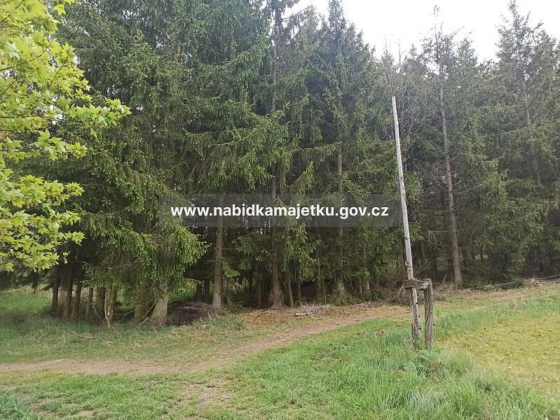 Prodej lesa 433 m² – fotografie 4