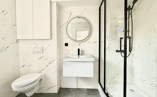 Prodej bytu 2+1 56 m², Cajthamlova, Teplice