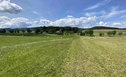 Prodej pole 55 481 m², Lhenice - Hrbov, okres Prachatice