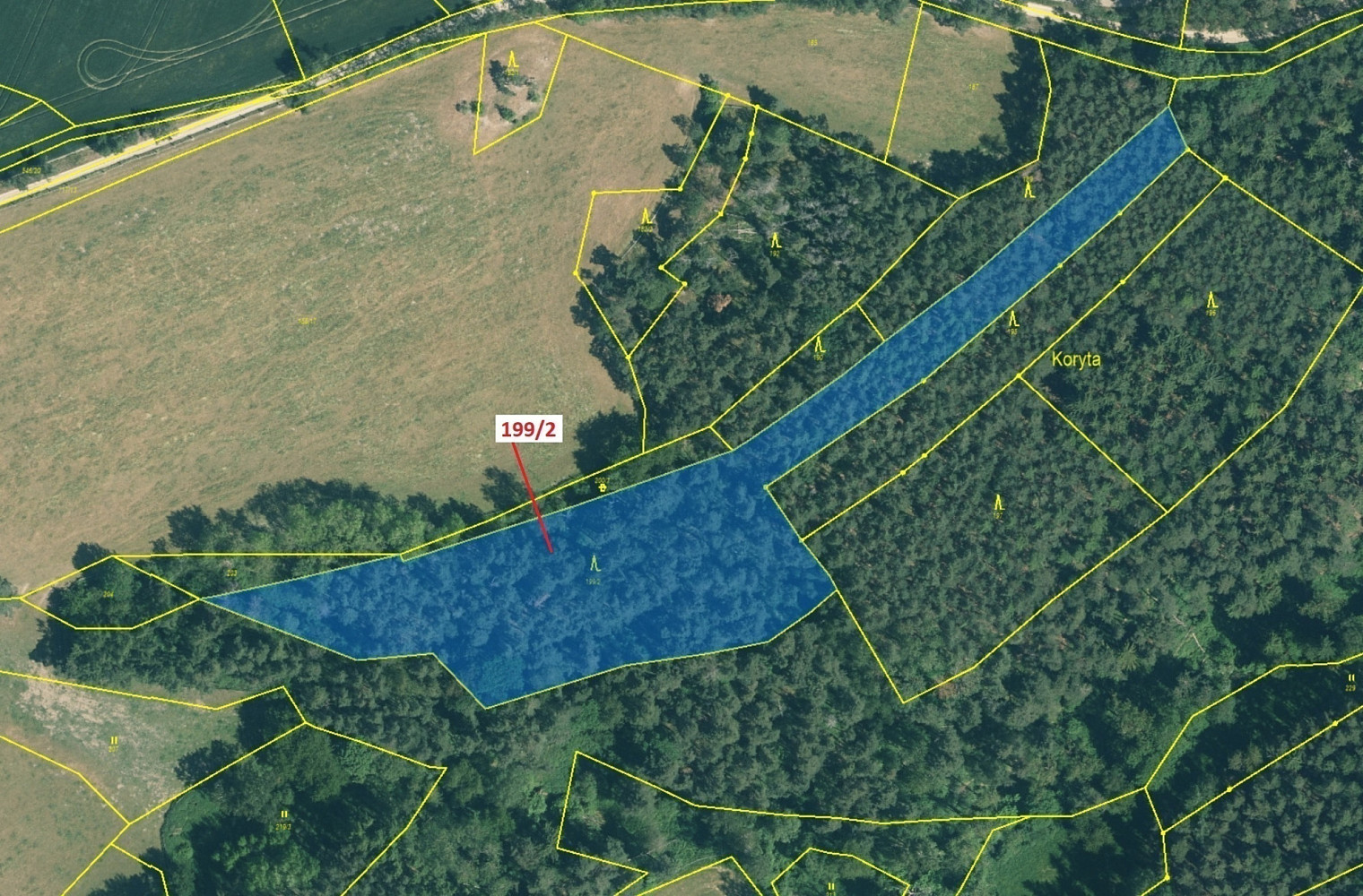 Dražba lesa 8 273 m² – pohled 2