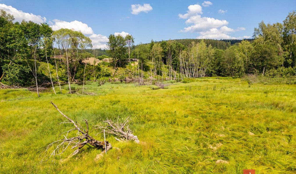 Prodej stavebního pozemku 2 757 m², Železná Ruda – náhled fotky 6