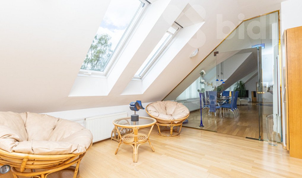 Prodej bytu 3+1 174 m², Nové Město na Moravě – náhled fotky 19