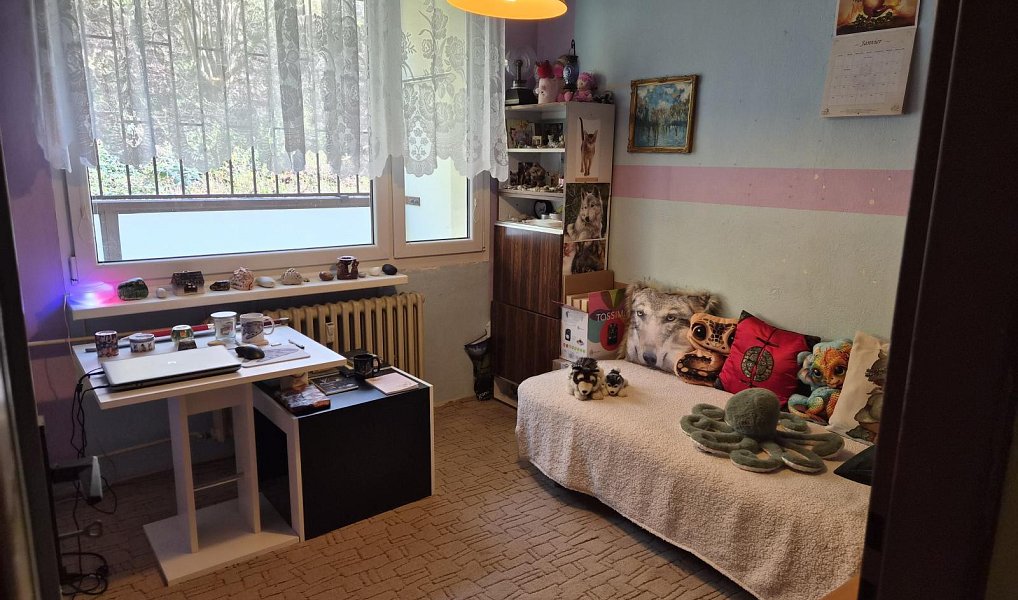 Prodej bytu 4+1 90 m², Praha – náhled fotky 16