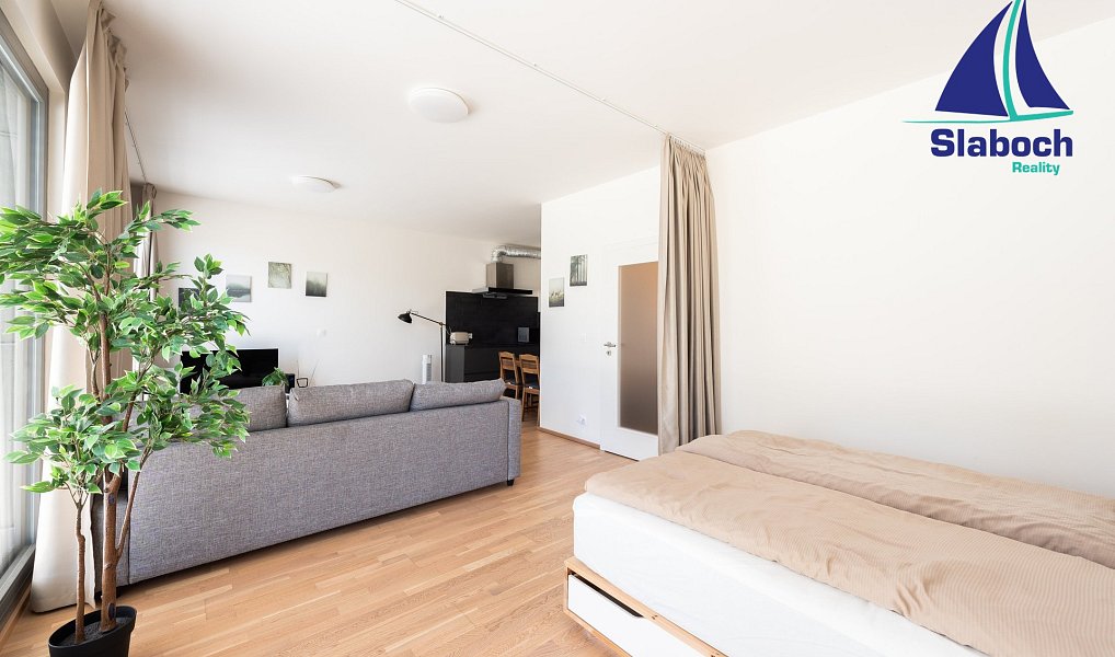 Pronájem bytu 1+kk 45 m², Praha – náhled fotky 8