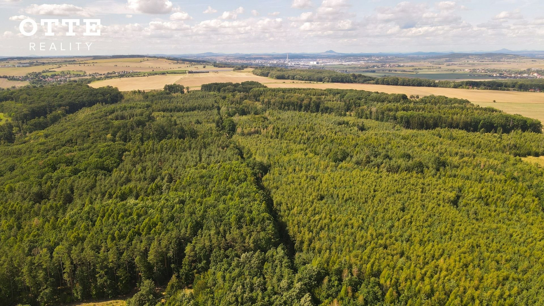 Prodej lesa 985 653 m² – fotografie 3