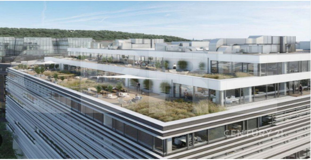 Pronájem kanceláře 1 300 m² — photo 4