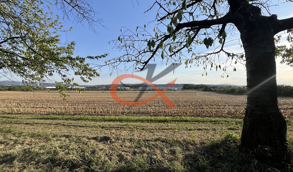 Prodej pole 4 766 m², Lešná – náhled fotky 7
