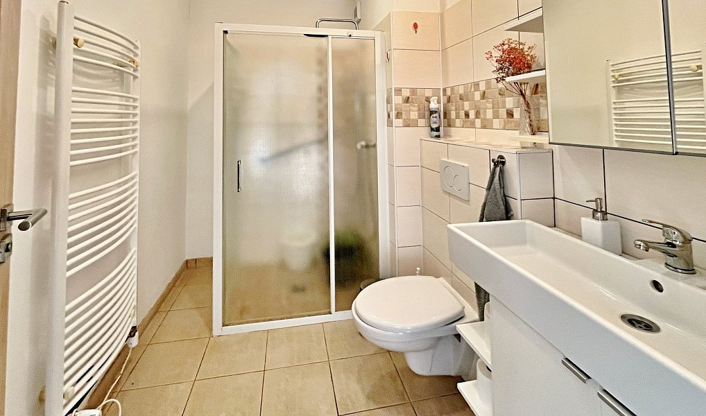 Prodej domu 230 m² s pozemkem 470 m², Libčany – náhled fotky 16