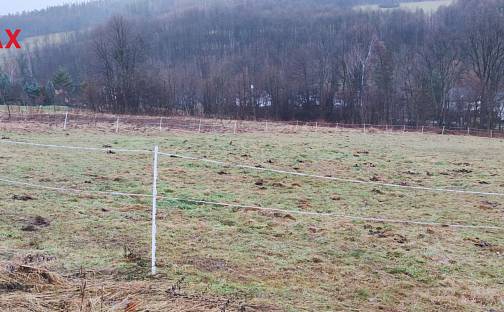 Prodej stavebního pozemku 3 227 m², Hošťálkovy, okres Bruntál