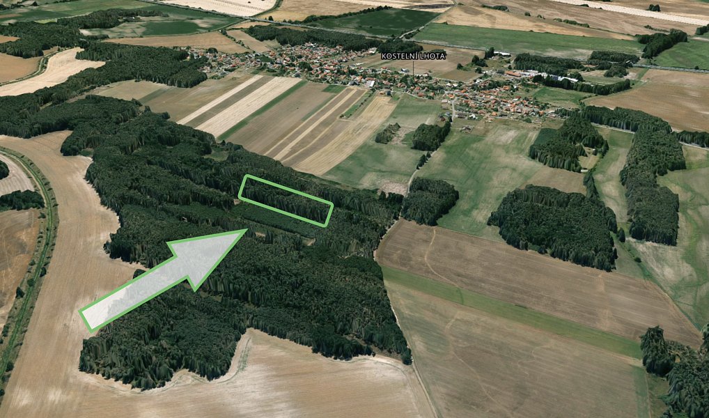 Prodej lesa 3 685 m², Kostelní Lhota – náhled fotky 4