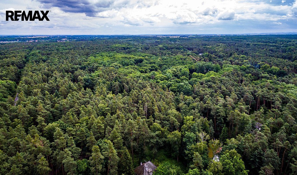 Prodej stavebního pozemku 3 226 m², Hradištko – náhled fotky 5