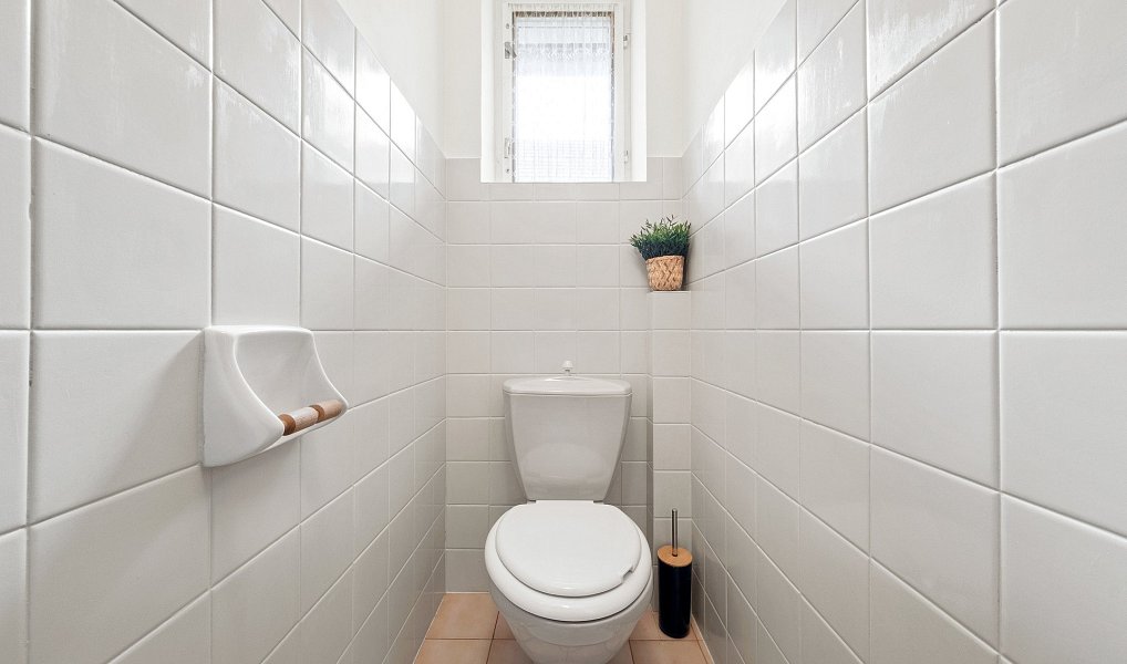 Prodej chaty/chalupy 95 m² s pozemkem 842 m², Řemíčov – náhled fotky 16