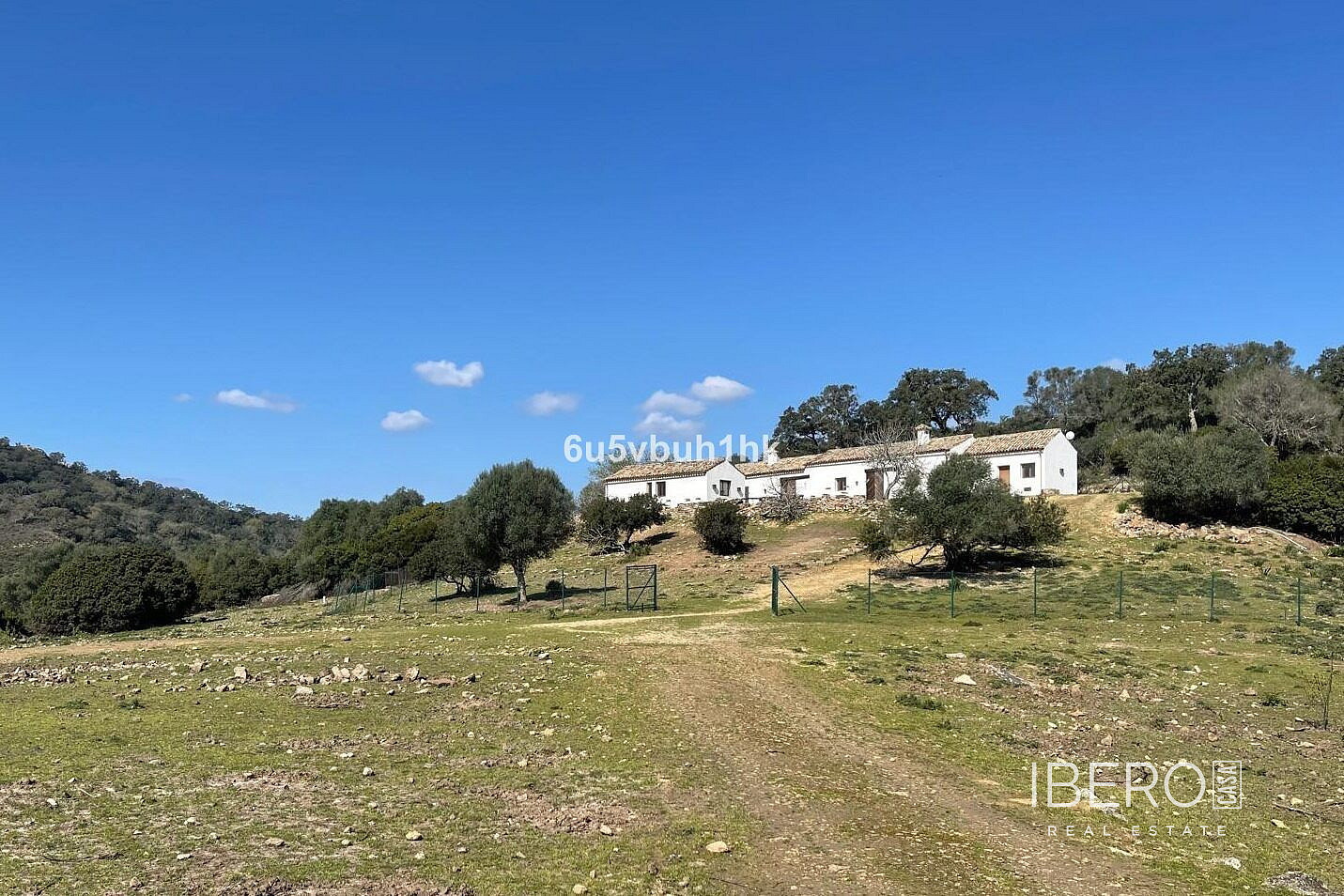 Prodej domu 161 m² s pozemkem 281 500 m² — photo 4