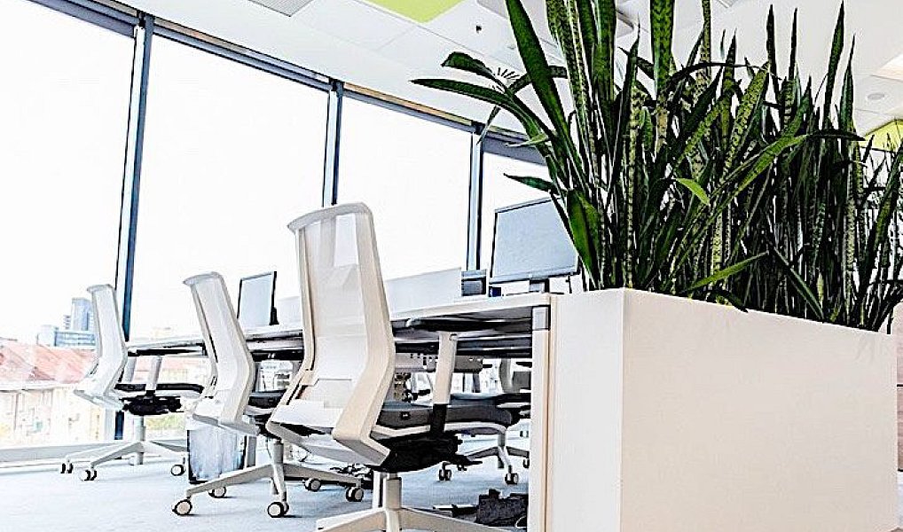 Pronájem kanceláře 902 m², Praha – náhled fotky 8