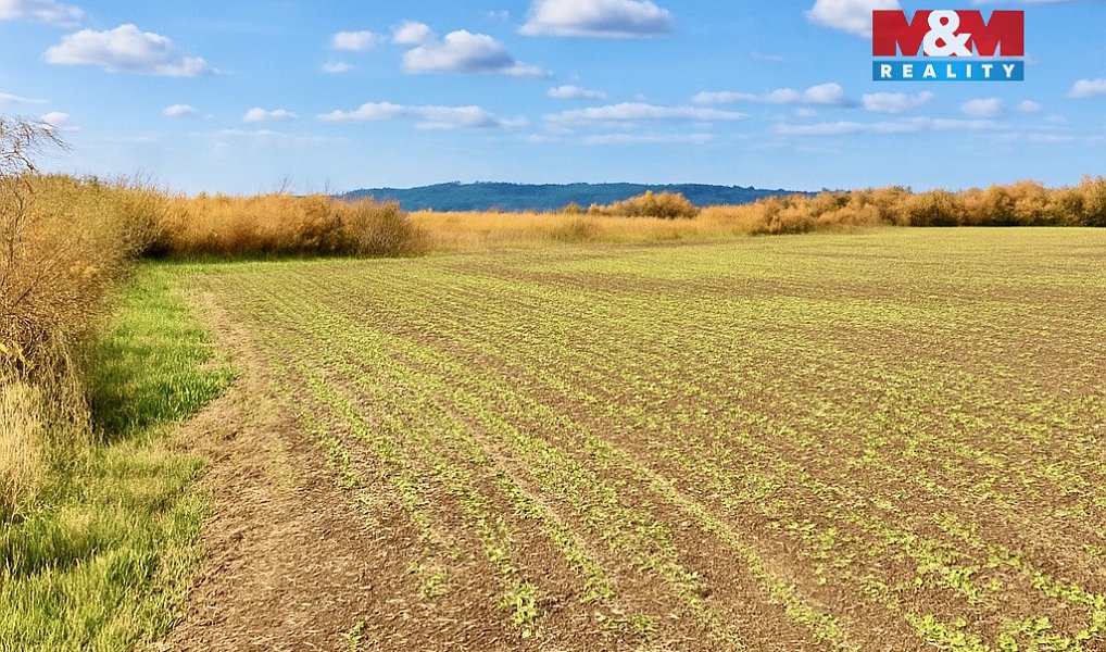 Prodej pole 9 215 m², Dolní Roveň – náhled fotky 6