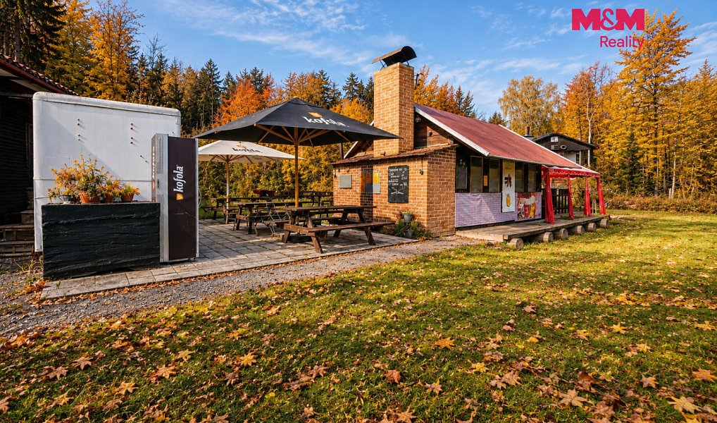 Prodej komerčního pozemku 21 872 m², Krucemburk – náhled fotky 3