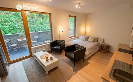 Pronájem bytu 1+kk 48 m²