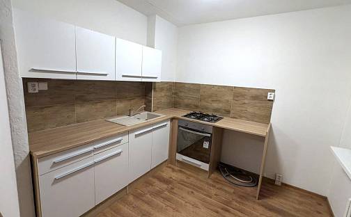 Pronájem bytu 1+1 34 m², Bezejmenná, Bílina - Pražské Předměstí, okres Teplice