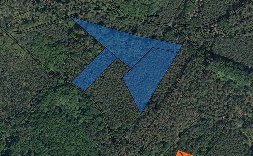 Prodej lesa 1 094 m², Horušice, okres Kutná Hora