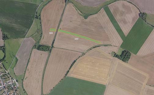 Prodej pole 2 521 m², Luštěnice, okres Mladá Boleslav