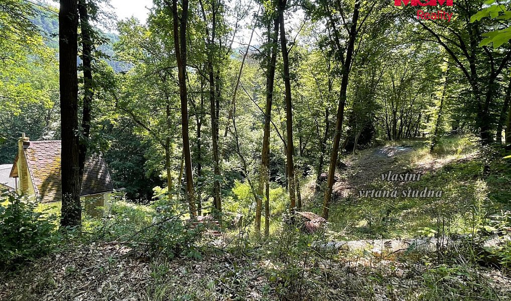Prodej chaty/chalupy 22 m² s pozemkem 1 386 m², Branov – náhled fotky 13