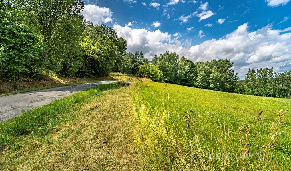 Prodej stavebního pozemku 2 511 m², Bělá pod Bezdězem – náhled fotky 17