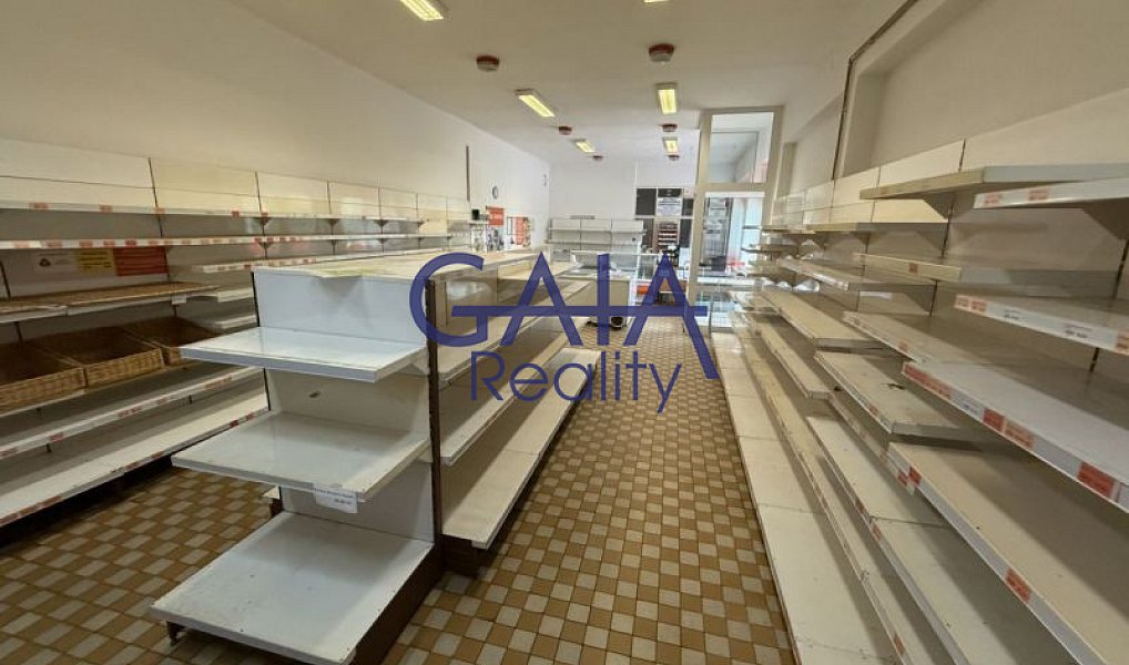Prodej obchodních prostor 268 m², Dešná – náhled fotky 3