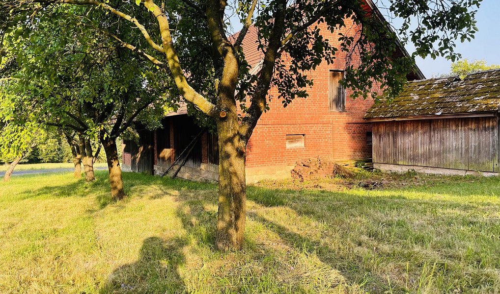 Prodej chaty/chalupy 600 m² s pozemkem 9 782 m², Úbislavice – náhled fotky 14