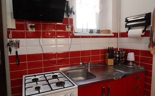 Prodej bytu 2+1 38 m², Borová, Karlovy Vary - Rybáře