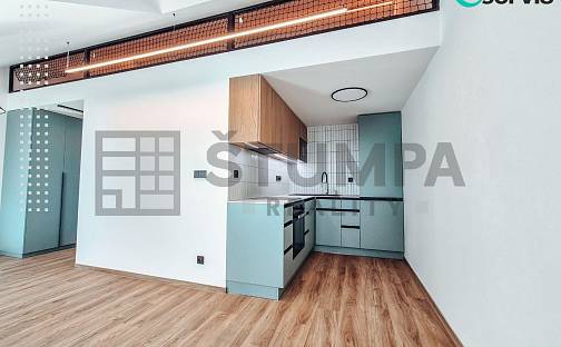 Pronájem bytu 1+1 44 m², Slámova, Brno - Černovice