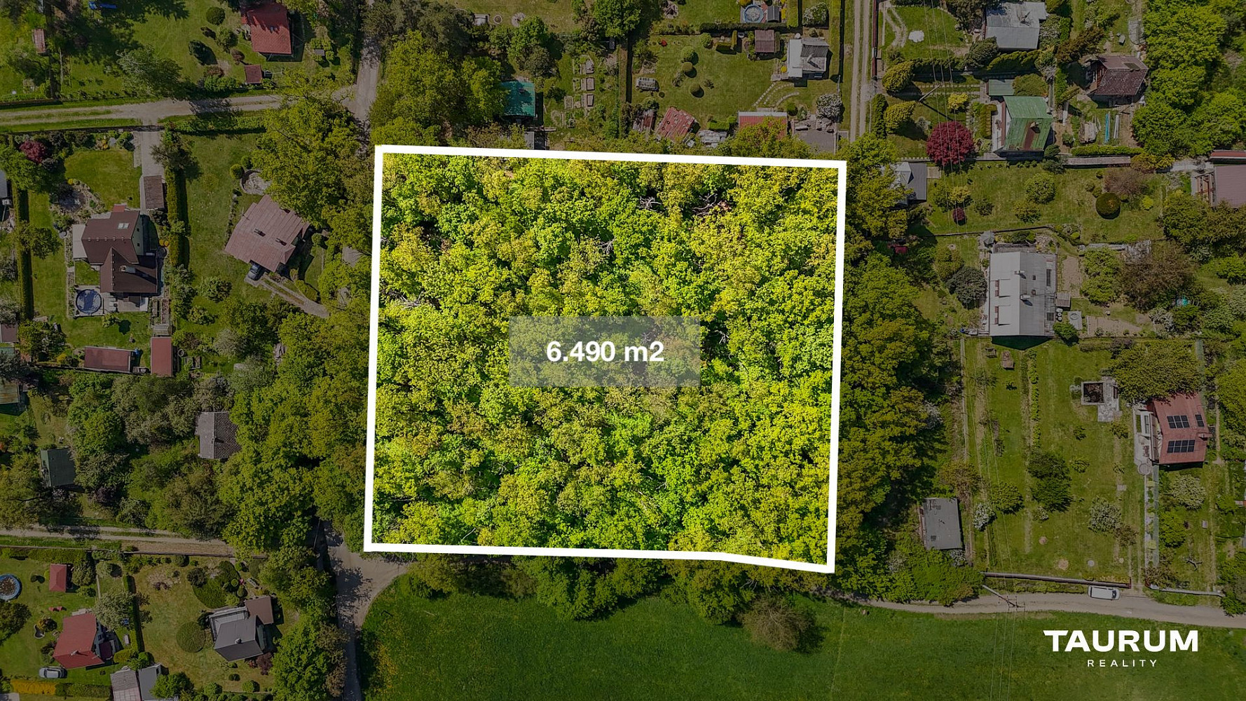 Prodej lesa 6 490 m² – fotografie 3