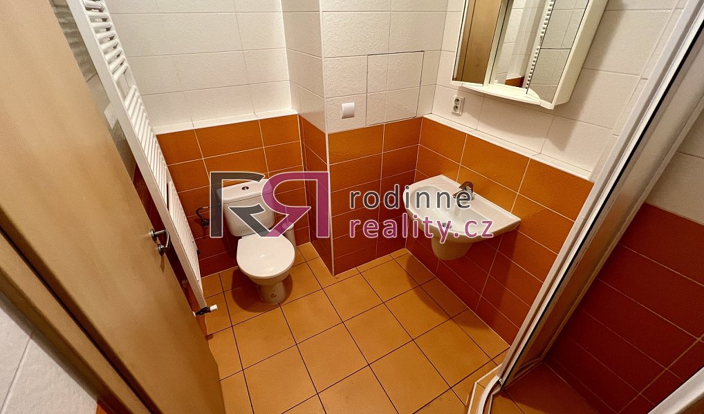 Pronájem bytu 1+kk 24 m², Praha – náhled fotky 2