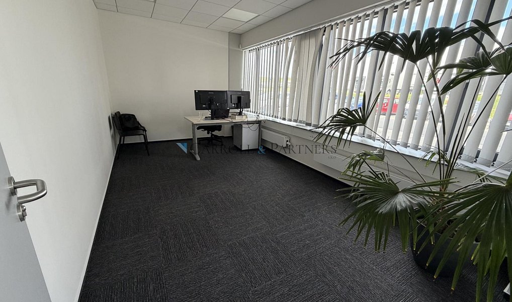 Pronájem skladovacích prostor 2 624 m², Ostrava – náhled fotky 8