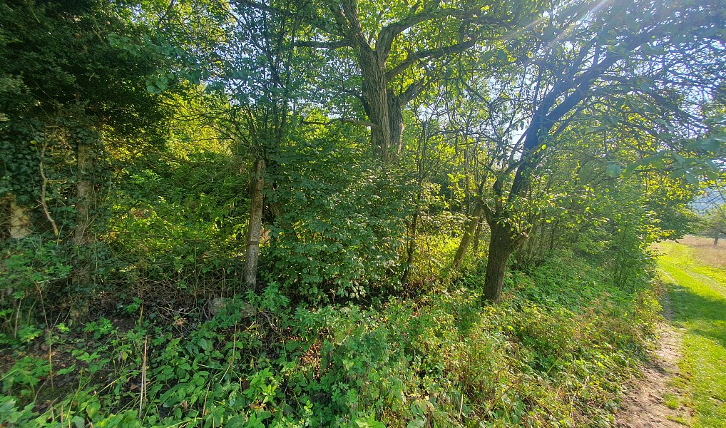 Prodej zahrady 1 635 m², Blansko – náhled fotky 5