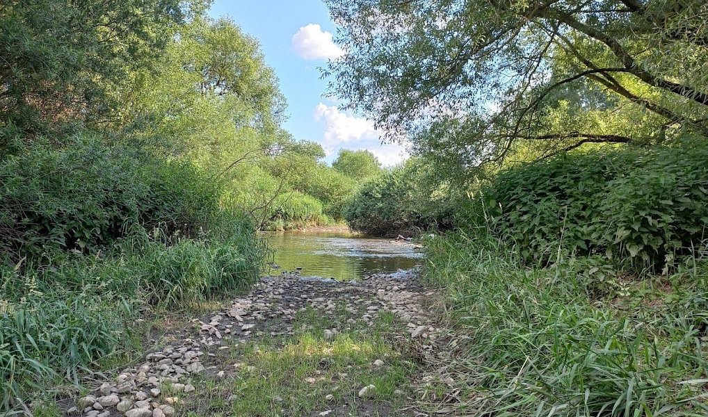 Prodej pozemku 4 517 m², Vodňany – náhled fotky 3