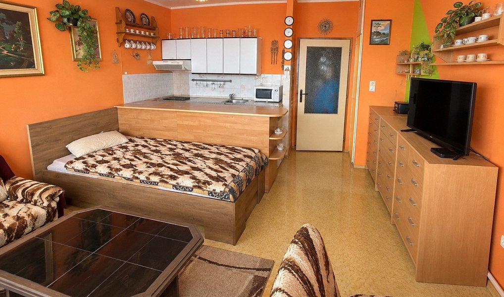 Prodej bytu 1+kk 26 m², Opava – náhled fotky 4