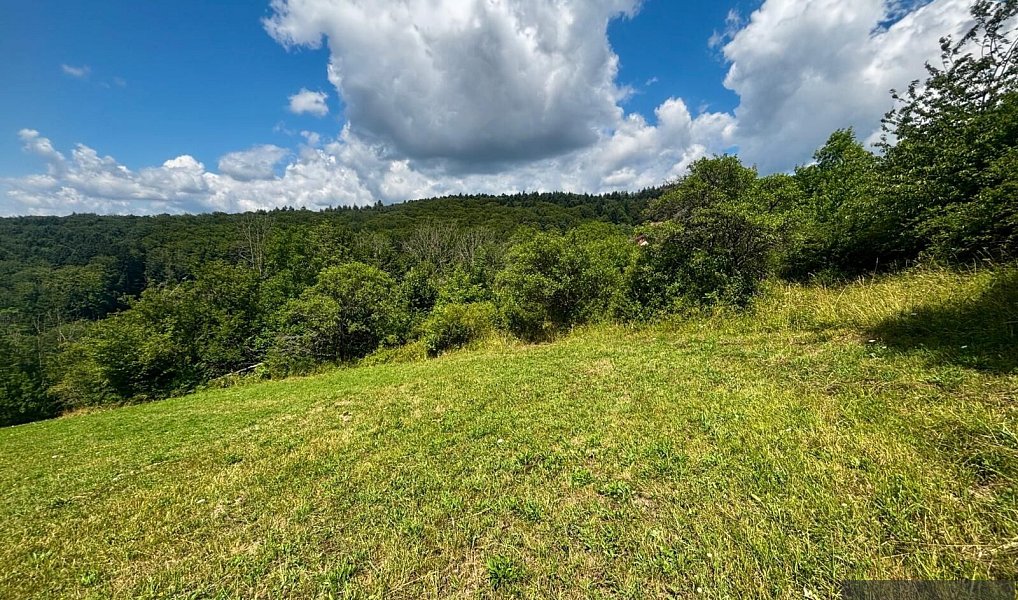 Prodej stavebního pozemku 6 433 m², Žítková – náhled fotky 4