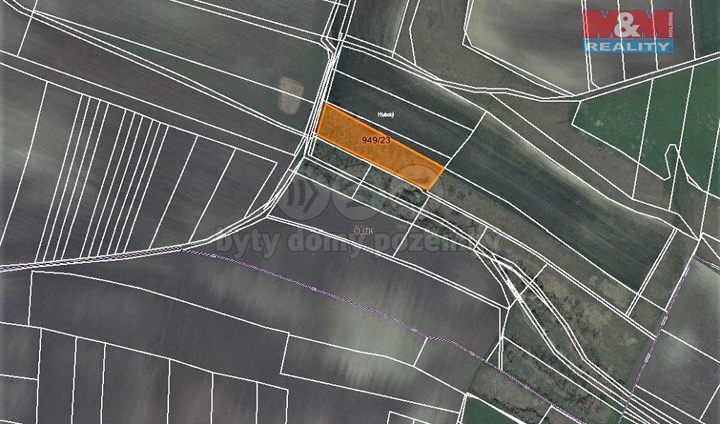Prodej lesa 1 499 m², Koštice – fotka 1 z 5