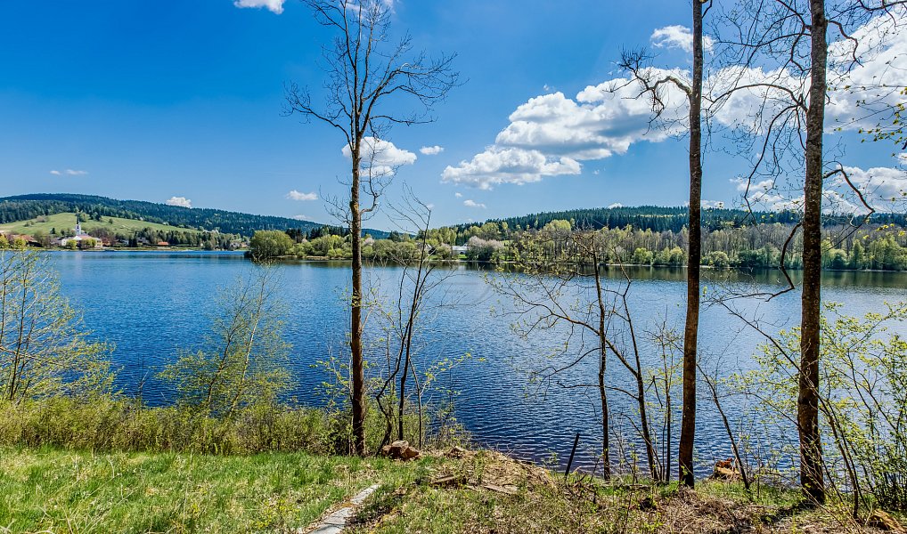 Prodej stavebního pozemku 481 m², Frymburk – náhled fotky 3