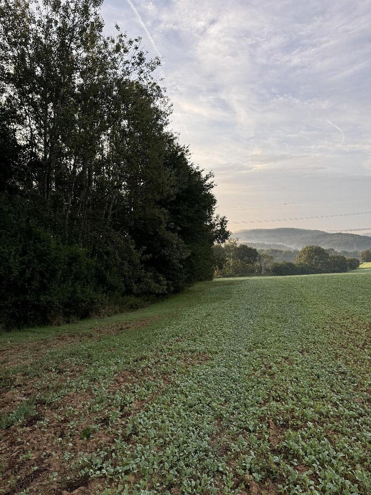 Fotka 3 z 7