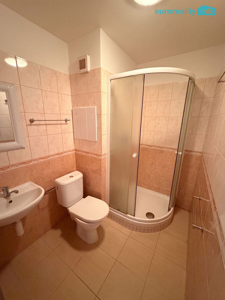 Pronájem bytu 1+kk 20 m² – fotografie 5