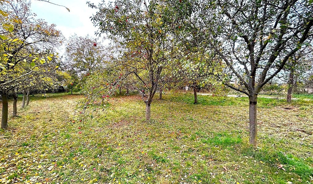 Pronájem stavebního pozemku 173 500 m², Kramolín – náhled fotky 13