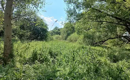 Prodej pozemku 4 517 m², Vodňany, okres Strakonice